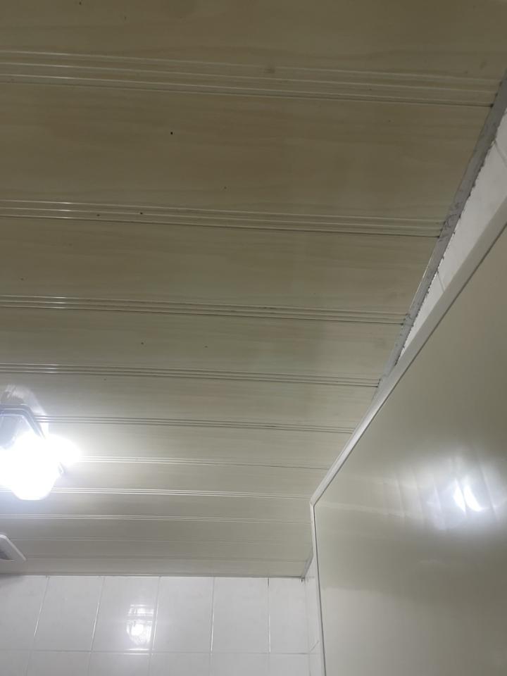 除霉案件圖片