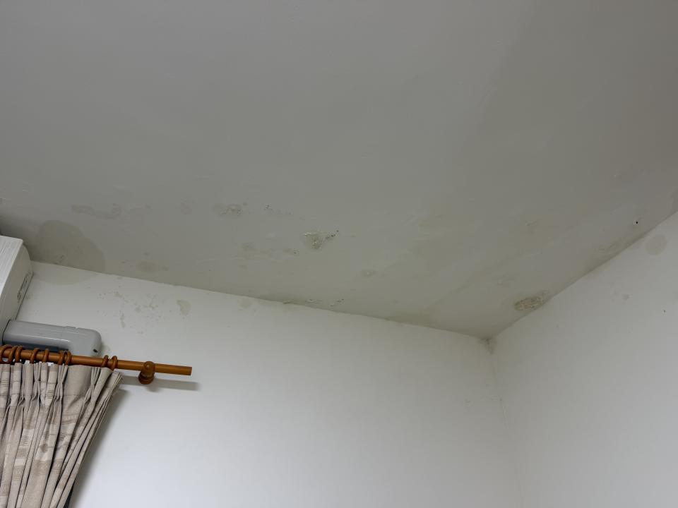 抓漏案件圖片
