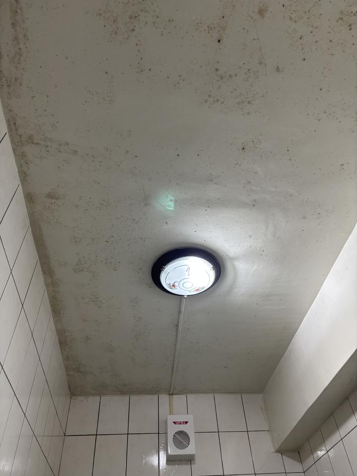 浴室除霉清潔案件圖片