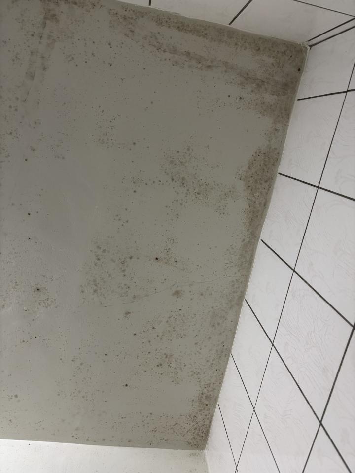浴室除霉清潔案件圖片
