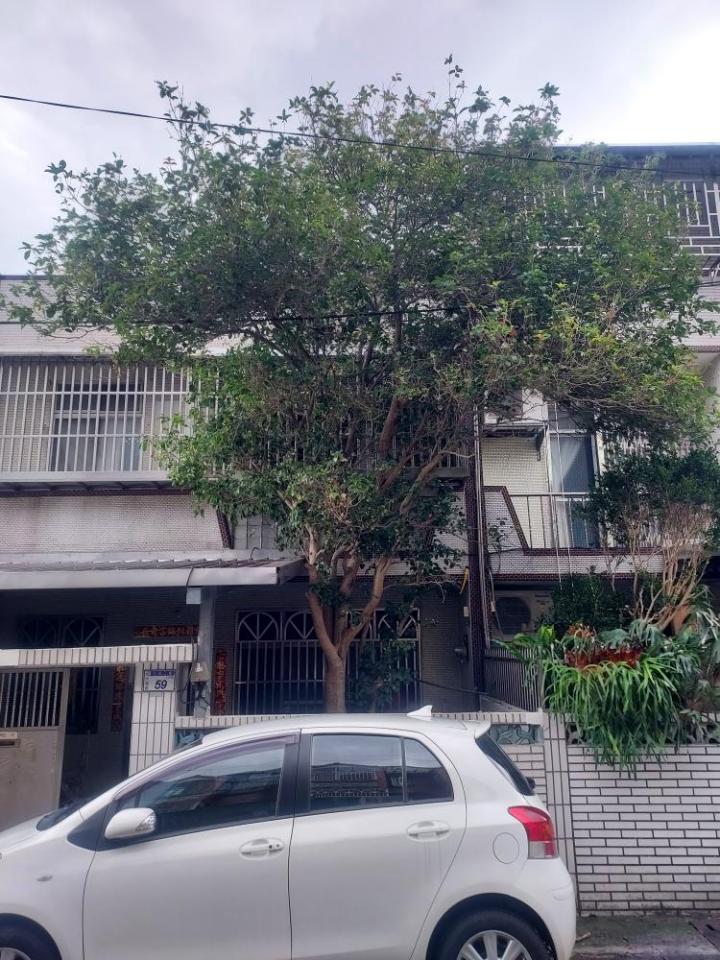 園藝維護案件圖片