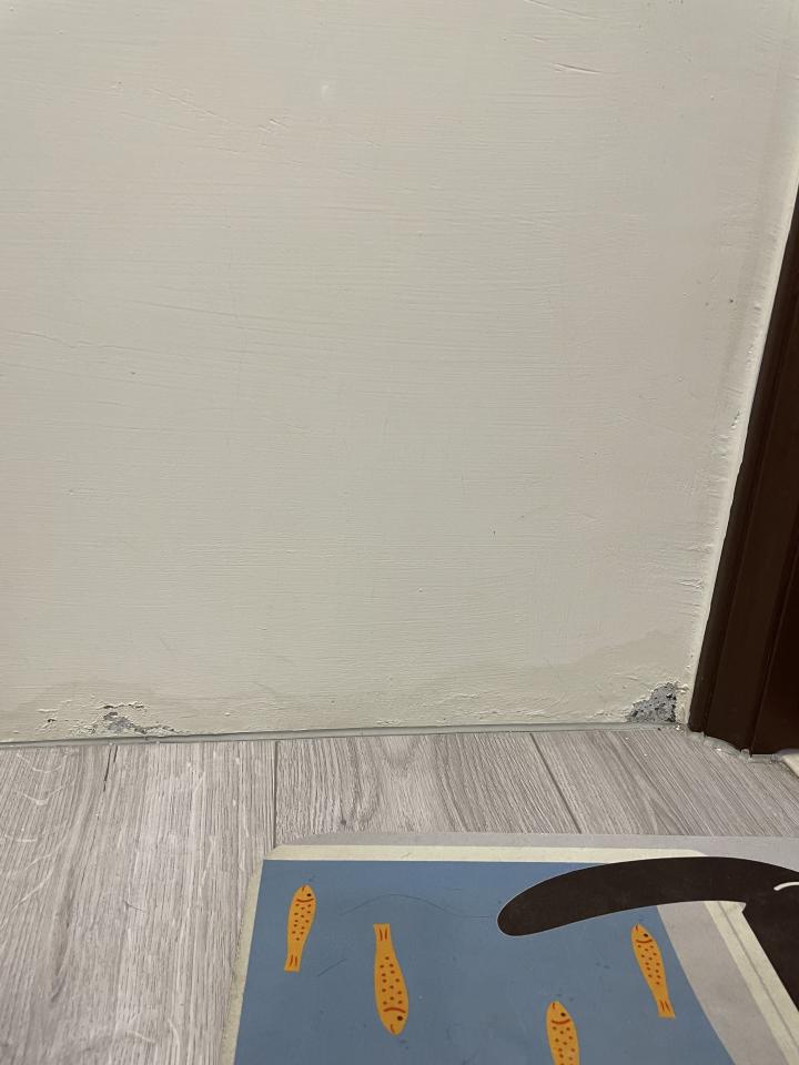 壁癌處理案件圖片