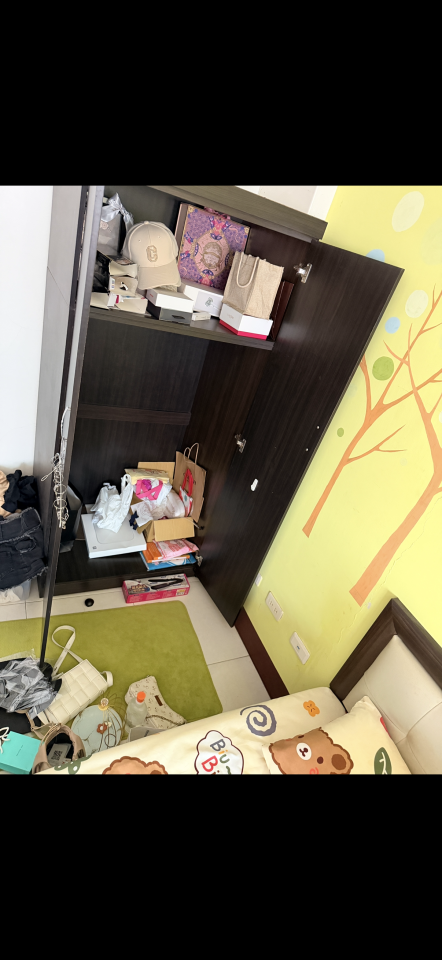 大型垃圾回收案件圖片