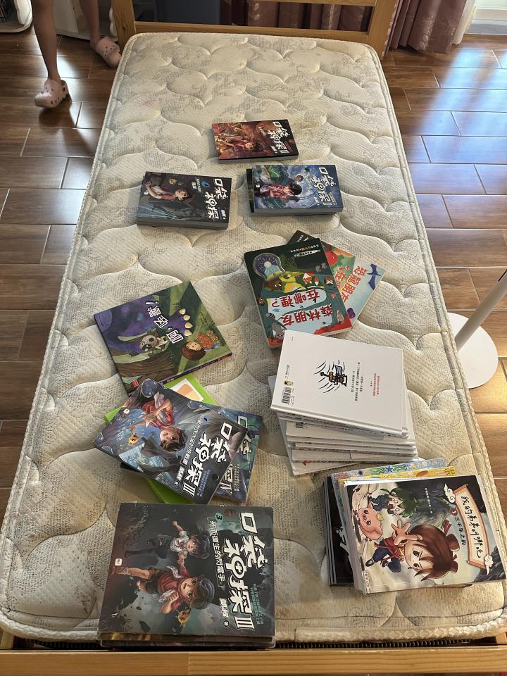 大型垃圾回收案件圖片