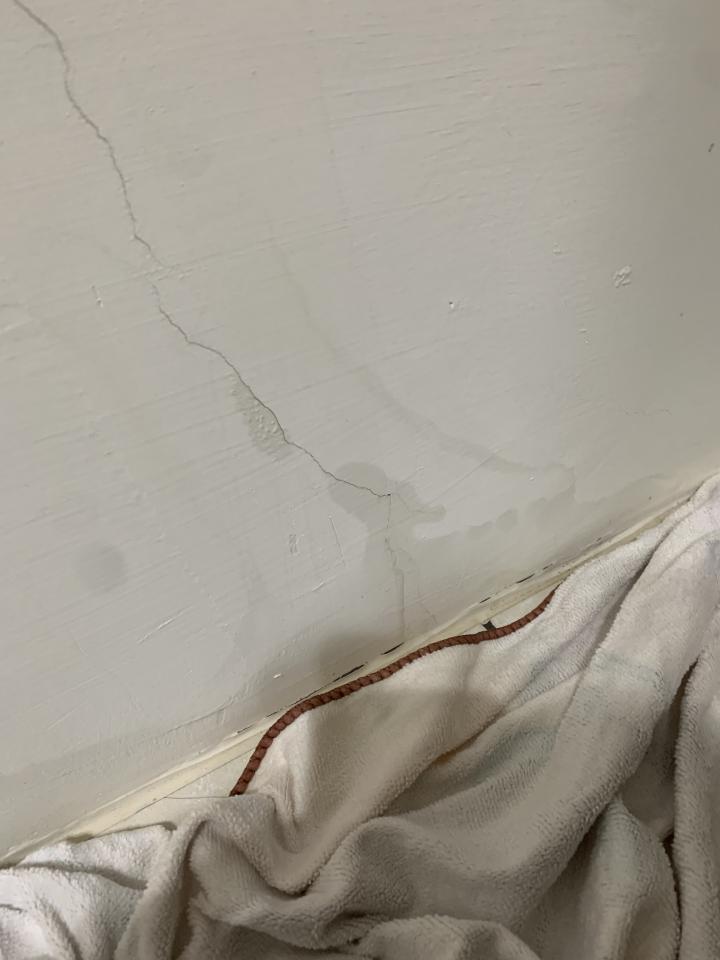 抓漏案件圖片