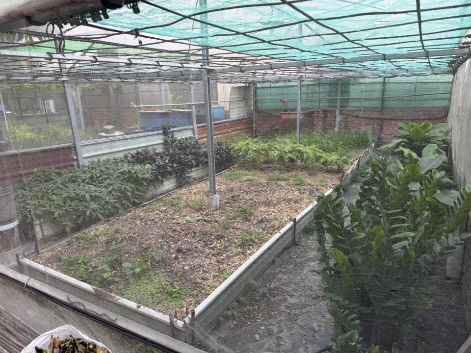 花園自動灑水系統案件圖片