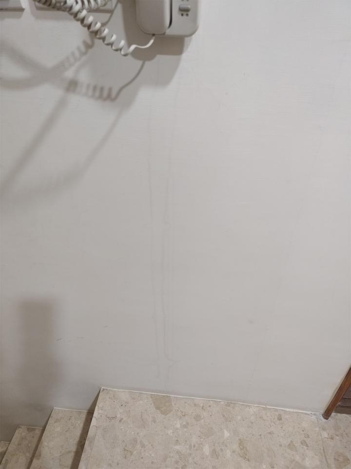 抓漏案件圖片