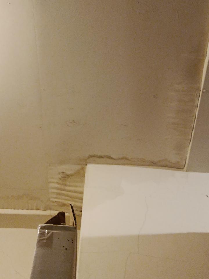 抓漏案件圖片