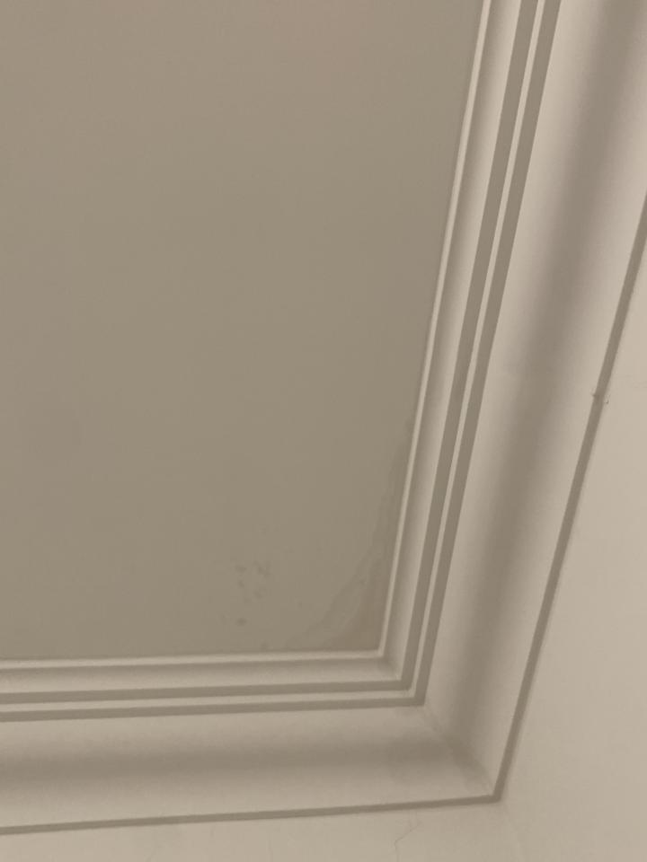 抓漏案件圖片