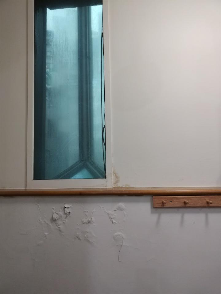 抓漏案件圖片