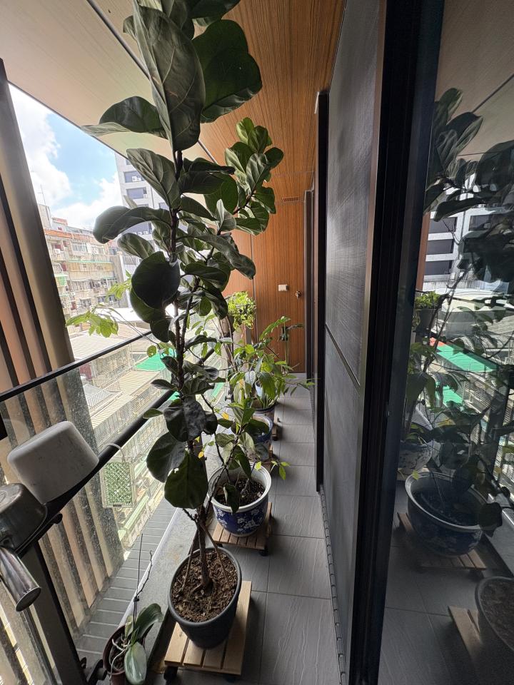 園藝維護案件圖片