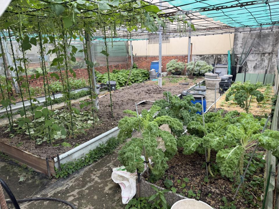 花園自動灑水系統案件圖片