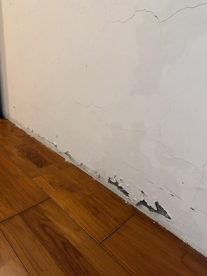 壁癌處理案件圖片