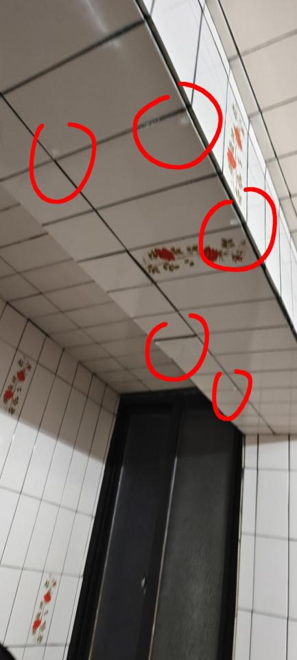 抓漏案件圖片