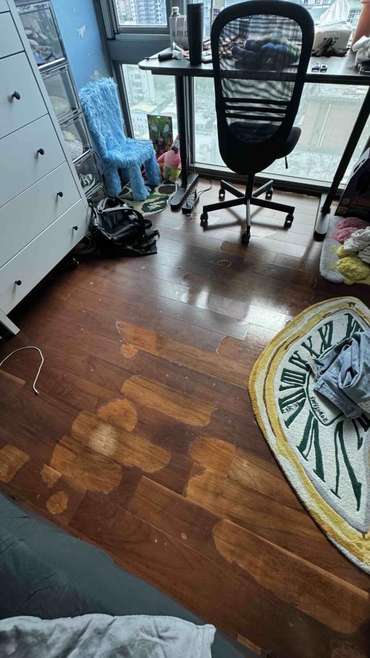 地板施工案件圖片