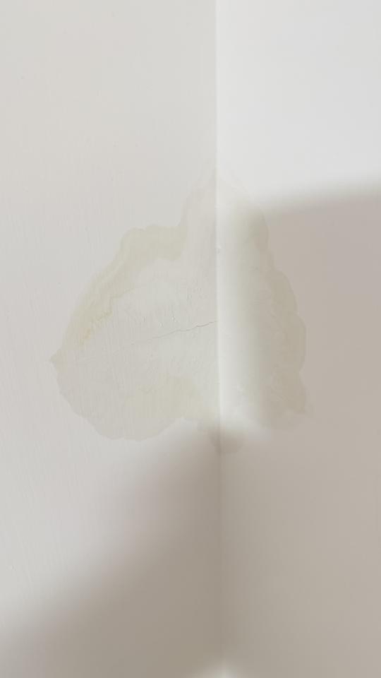 抓漏案件圖片