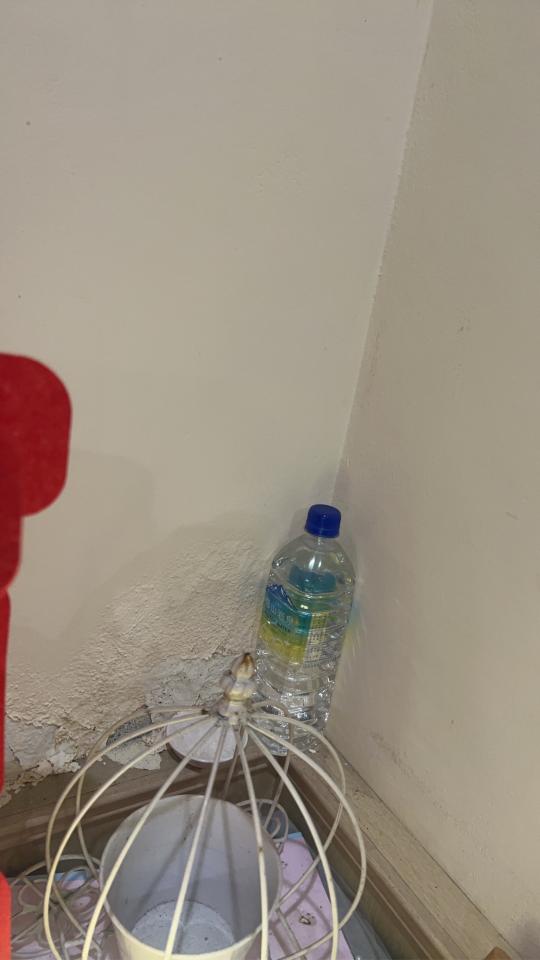 抓漏案件圖片