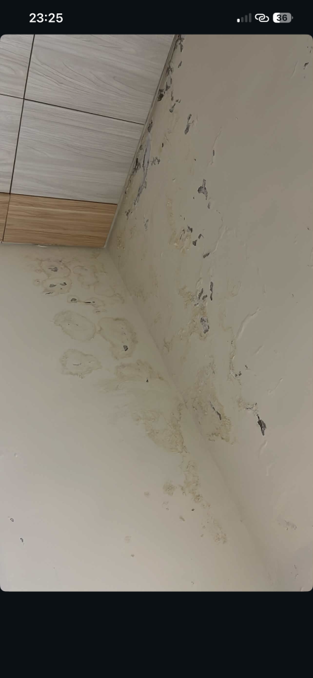 油漆工程案件圖片