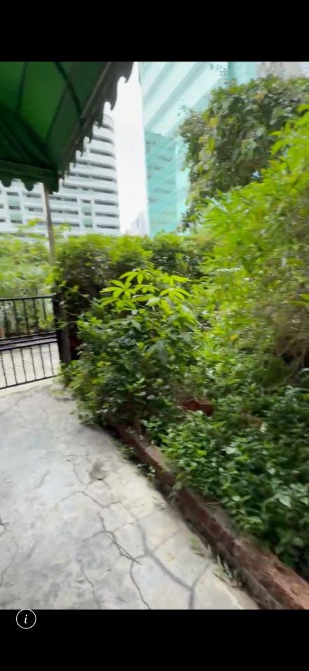園藝維護案件圖片