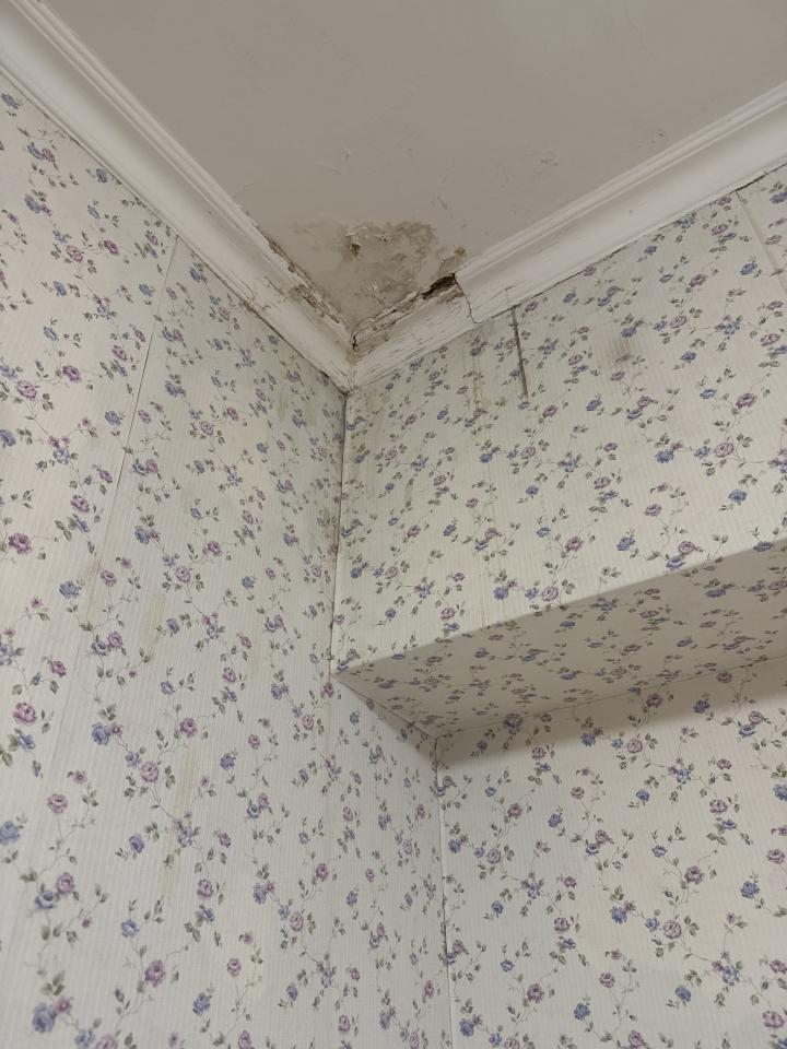 漏水處理案件圖片