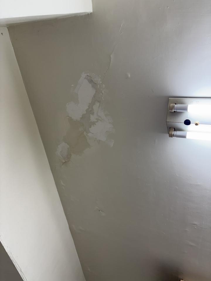 抓漏案件圖片