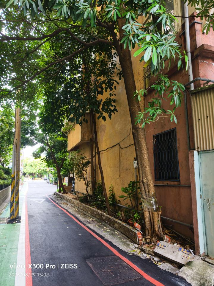 園藝維護案件圖片