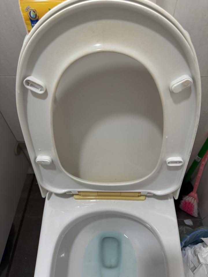 馬桶裝修案件圖片