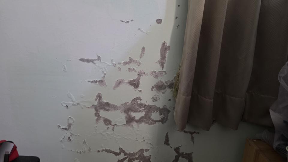 抓漏案件圖片