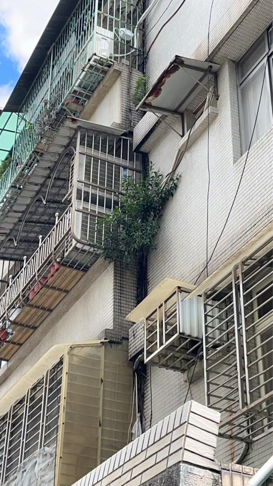 拆除工程案件圖片