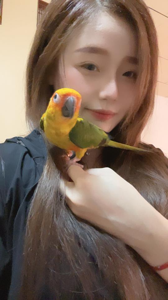 標本製作案件圖片