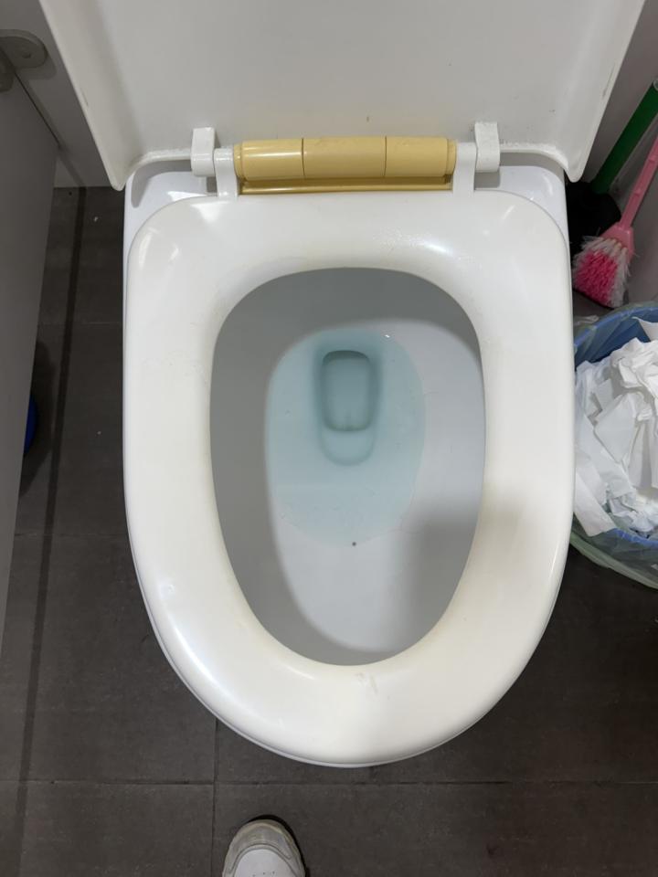 馬桶裝修案件圖片