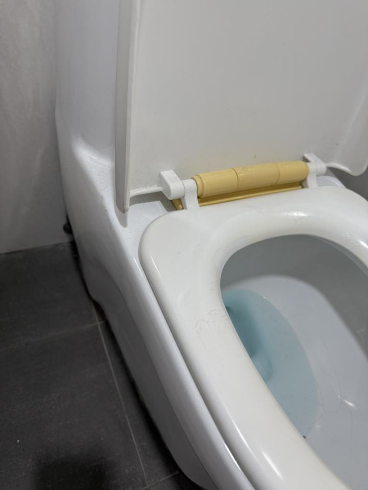 馬桶裝修案件圖片