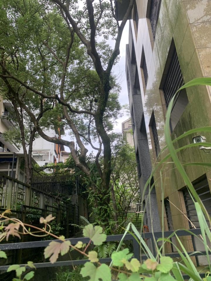 園藝維護案件圖片