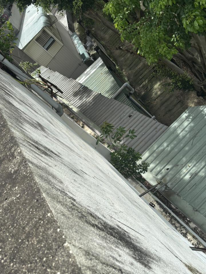 園藝維護案件圖片