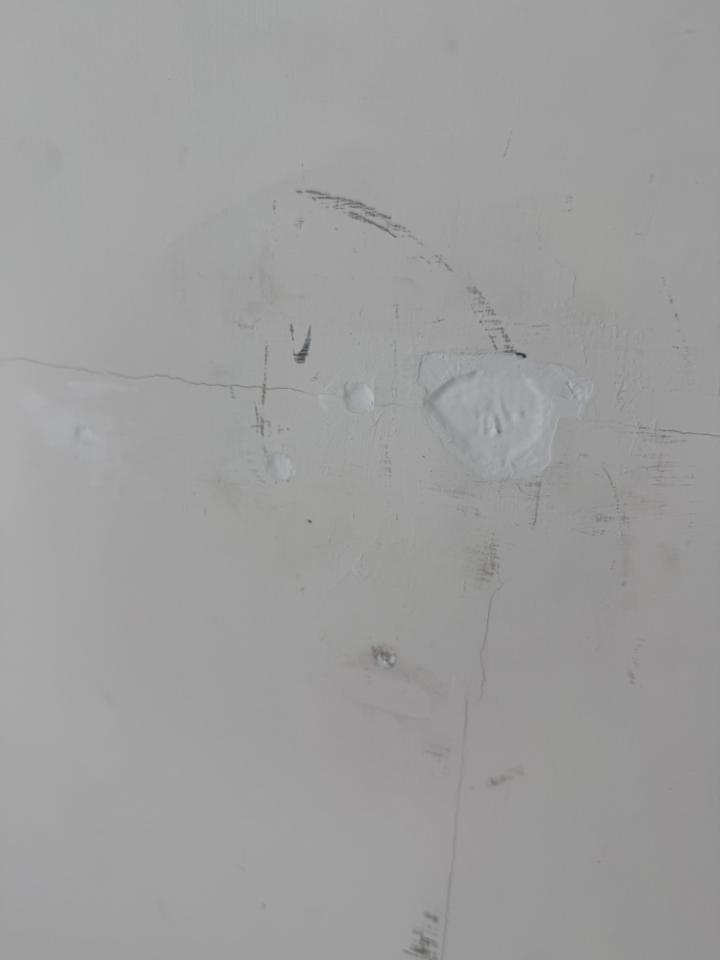 油漆工程案件圖片