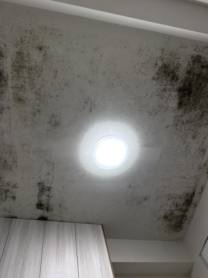 除霉案件圖片