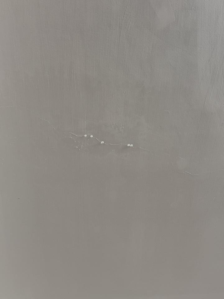 抓漏案件圖片