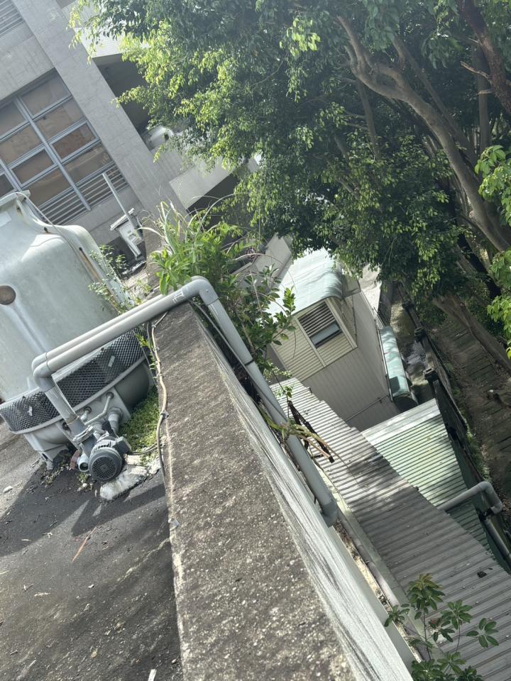 園藝維護案件圖片