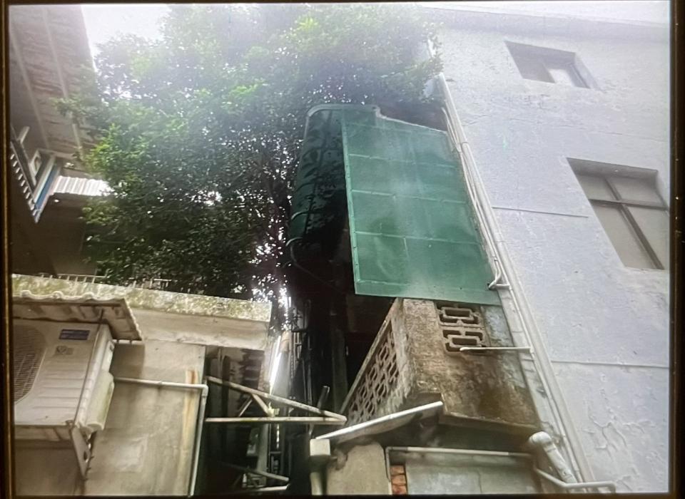 園藝維護案件圖片