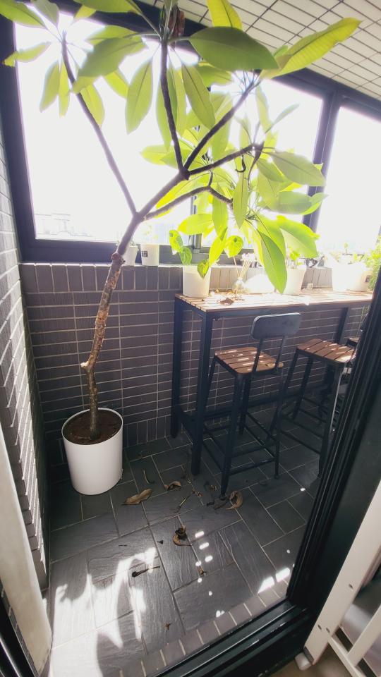 園藝維護案件圖片