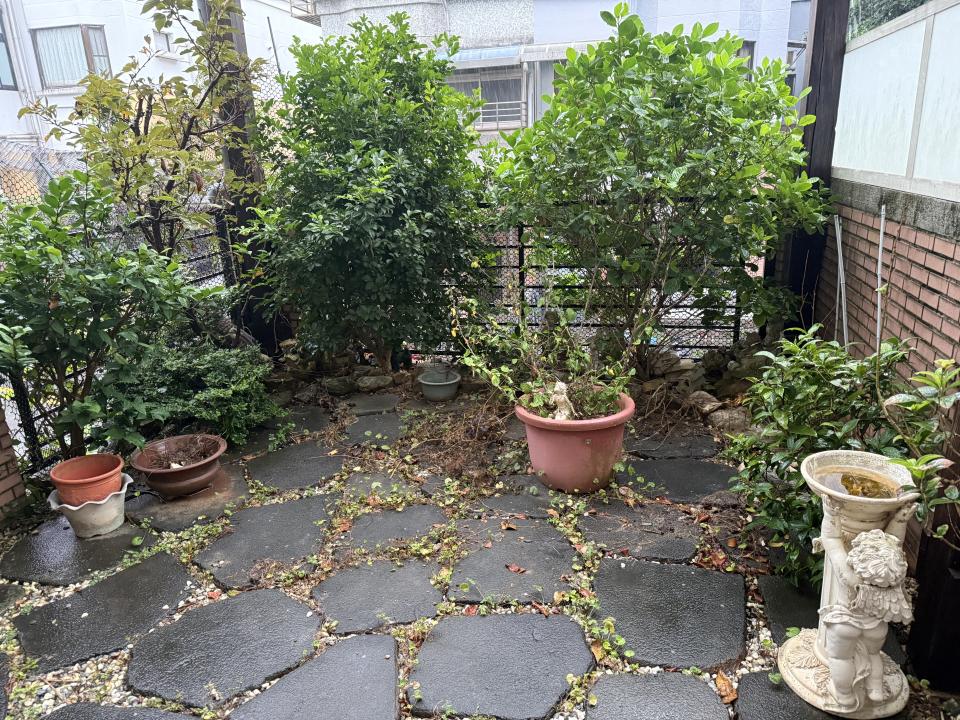 園藝維護案件圖片