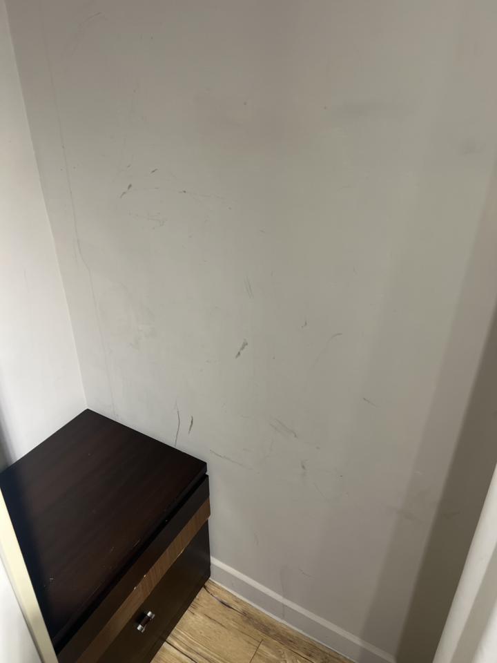 油漆工程案件圖片