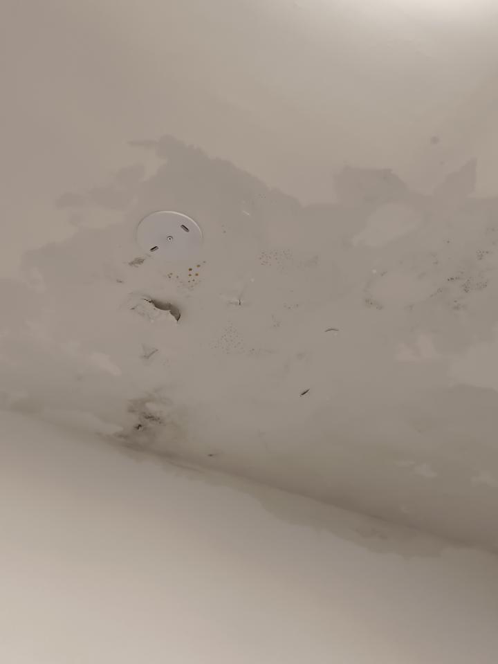 抓漏案件圖片