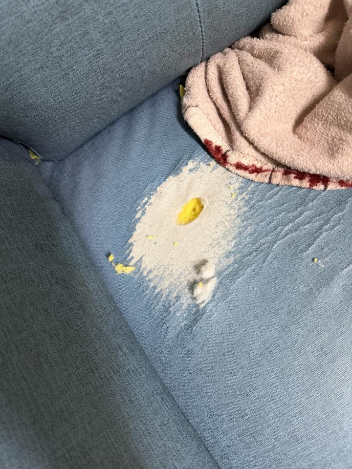 沙發修理案件圖片