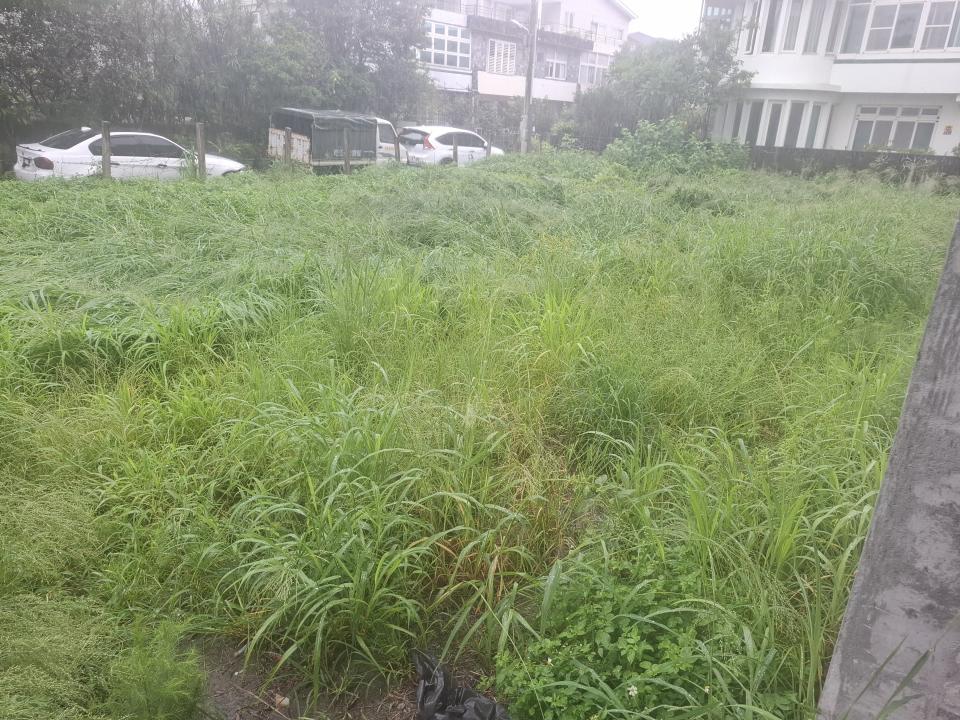 園藝維護案件圖片