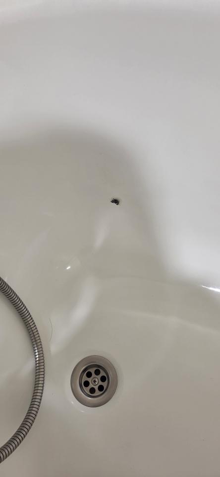 浴缸與淋浴裝修案件圖片
