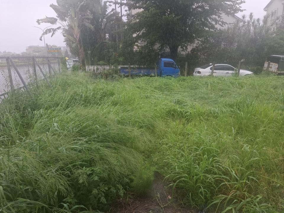 園藝維護案件圖片