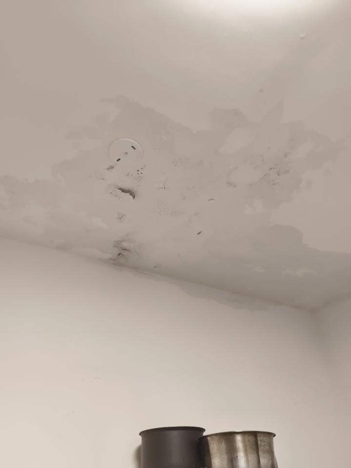 抓漏案件圖片