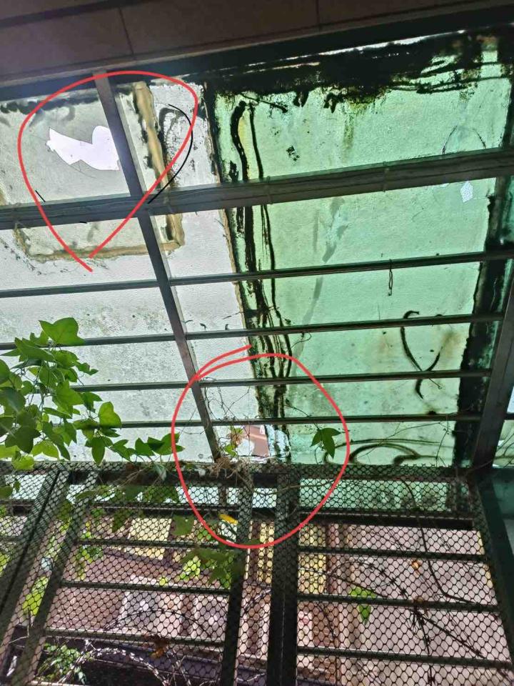採光罩案件圖片