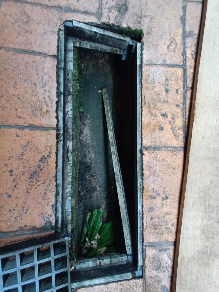泥作/水泥施工案件圖片